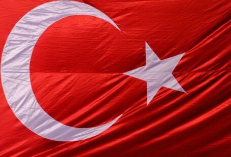 Star Dynasties - Turkish flag